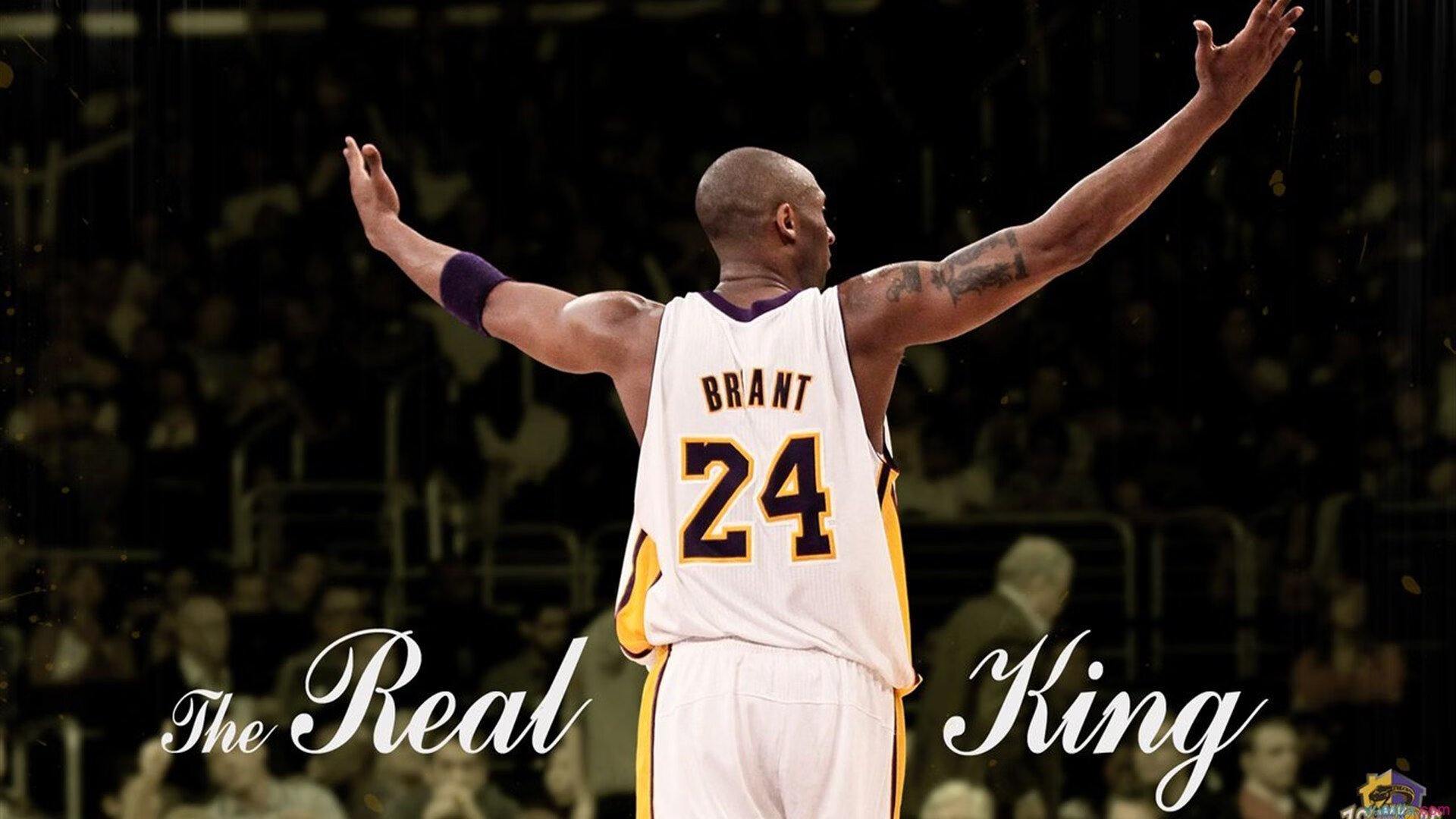 麦肯齐：灵活的跑位和精准的脚法为全黑队注入更多进攻威胁，麦肯齐是什么意思