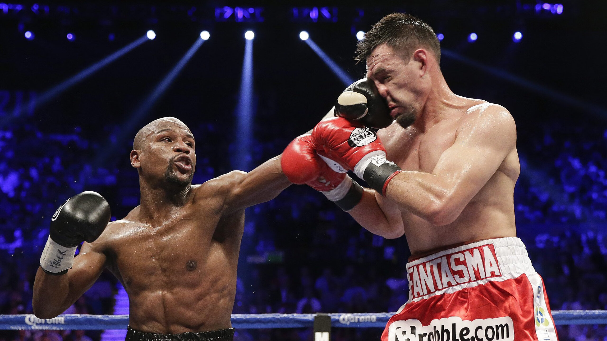 爱游戏体育平台-美国马术协会开展马匹福利宣传活动，提升公众意识。，美国马术运动员